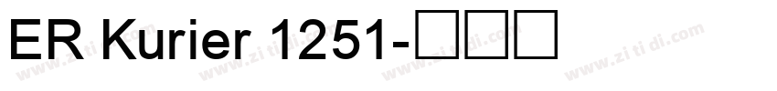 ER Kurier 1251字体转换